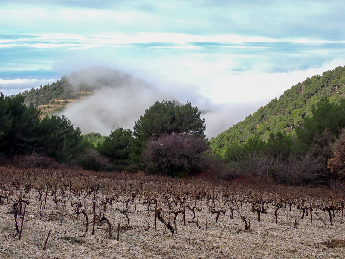 Randonnée Gigondas