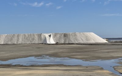 Randonnée-Repas Salins de Giraud  26 avril 2026