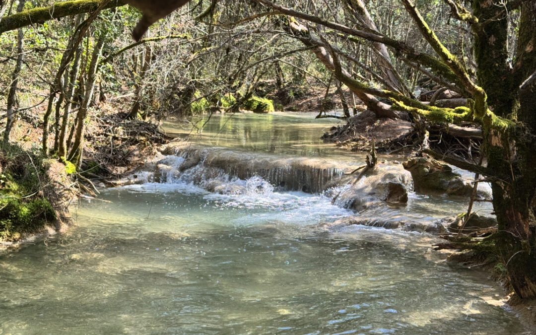 Randonnée source de l’Huveaune-Nans Les Pins