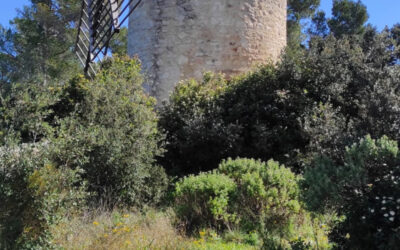 Randonnée Pique-nique Fontvieille  08 mai 2026